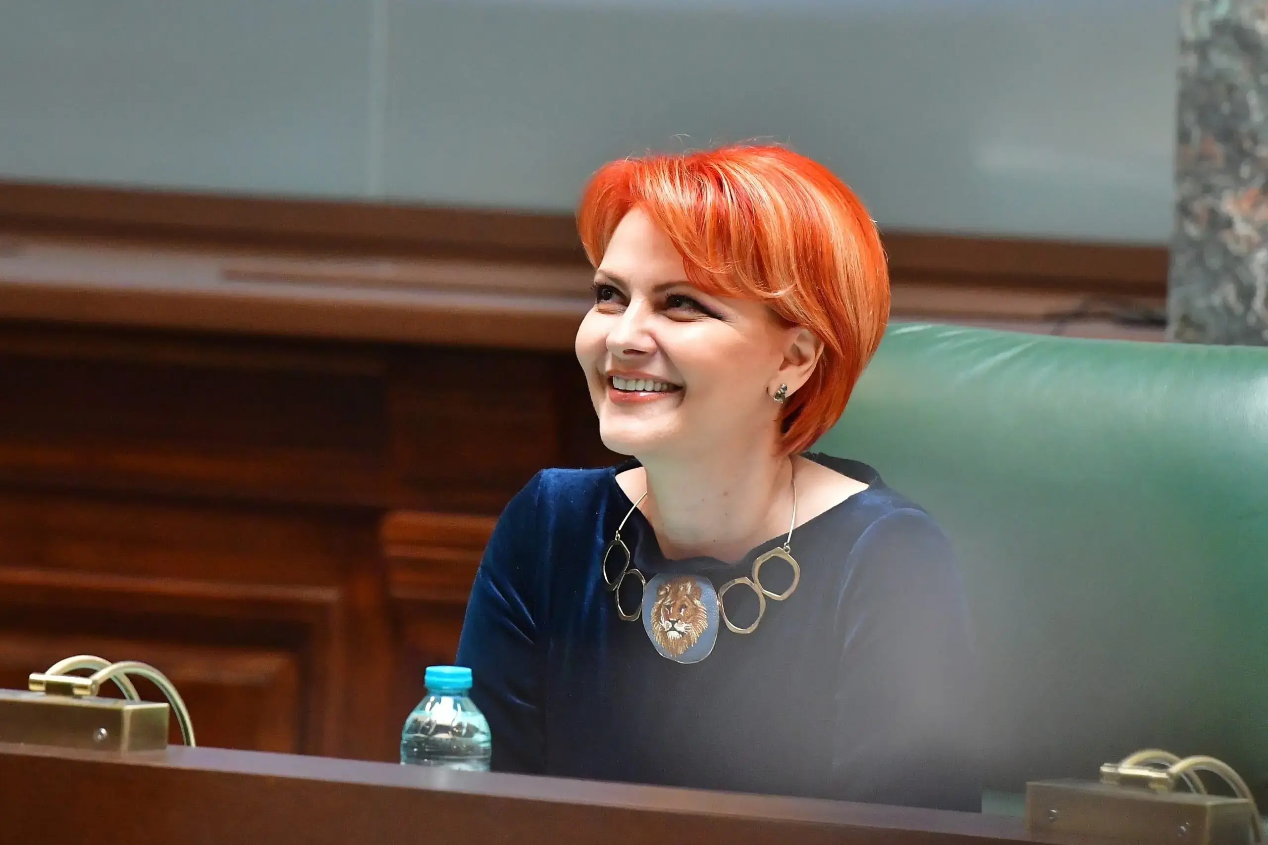 impozit pe locuințe 2027, Termenul aplicației împiedică impozitarea caselor la prețul pieței în 2027, explică Lia Olguța