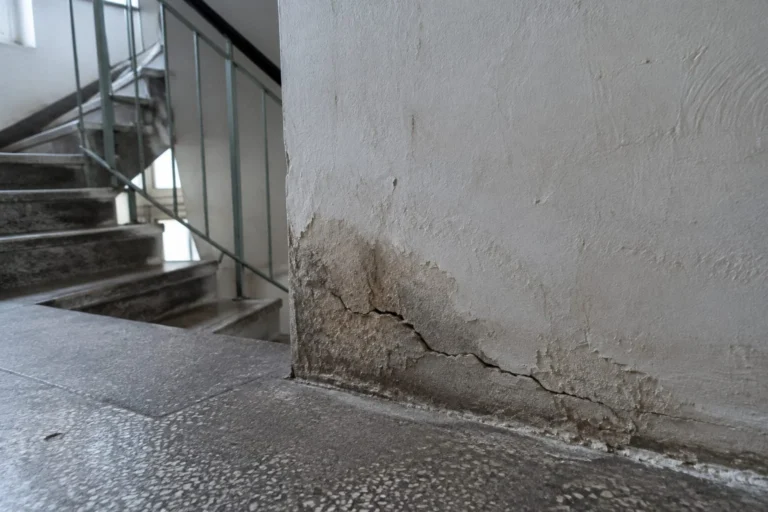 Fisuri și umezeală la vizionare apartament